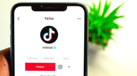 Pemisahan aset TikTok di Amerika Serikat. (Pixabay.com/SAM-RIZ44)