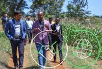 Dr. Rajiv Shah, President of The Rockefeller Foundation, and Denis Karema, Co-Founder and CEO of SokoFresh, visiting a farm outside Nairobi, Kenya, benefiting from solar-powered refrigeration thanks to investments by the Global Energy Alliance for People and Planet in collaboration with CLASP.