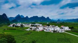 Photo shows verdant mulberry parks in an ecological demonstration zone located in Desheng Town of Yizhou District in Hechi City of Guangxi Zhuang Autonomous Region. (Photo by Wang Xinyuan)